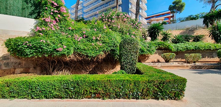 jardín comunitario Mallorca | empresa de jardinería