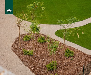 proyecto jardines Green Valley School | empresa de jardinería