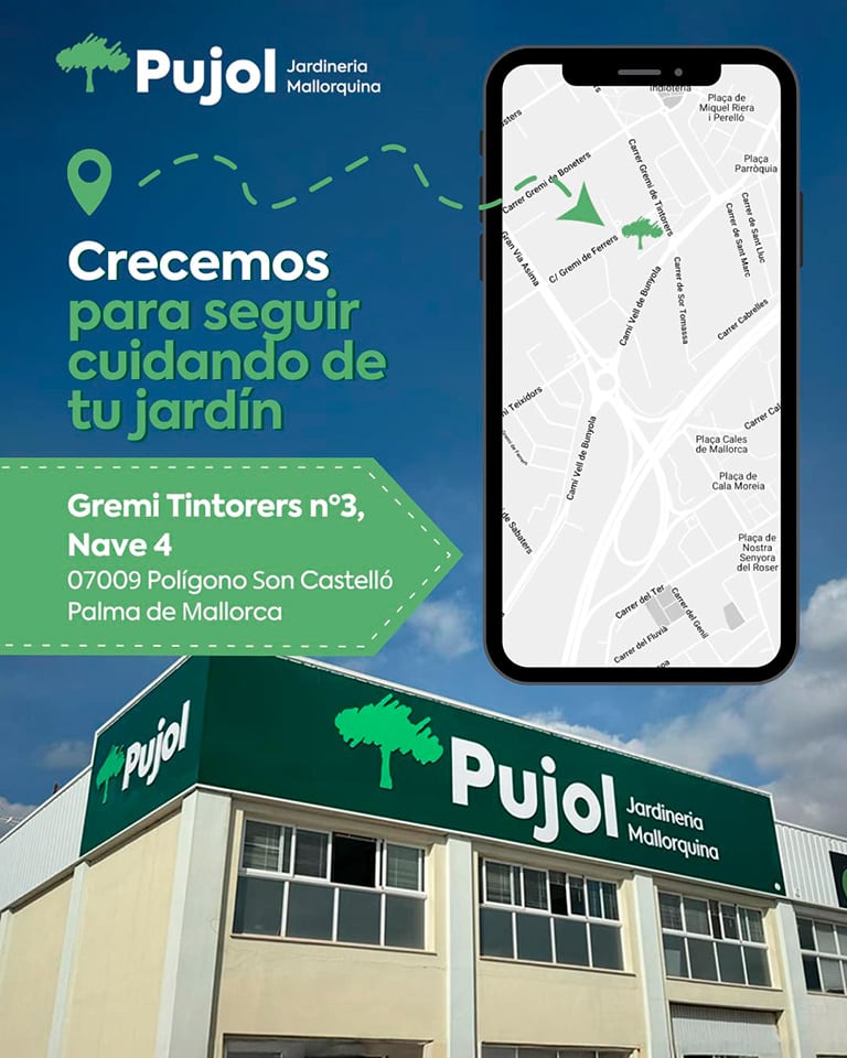 jardinería Palma de Mallorca | jardinería en Mallorca jardinería Palma de Mallorca | empresa de jardinería