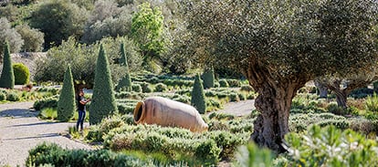 empresas jardinería Mallorca | empresa de jardinería