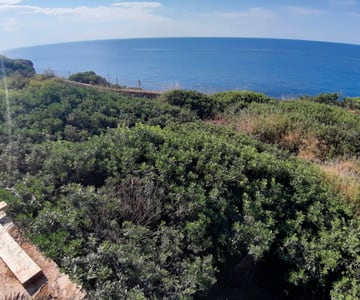 proyecto jardines Cala Santanyí | empresa de jardinería