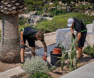 proyecto jardines Cala Santanyí | empresa de jardinería