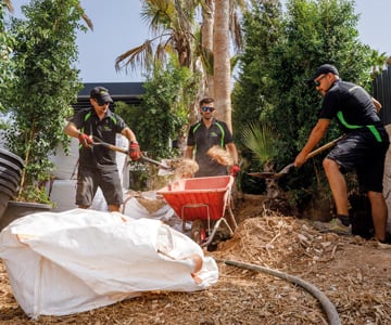 proyecto jardines Cala Santanyí | empresa de jardinería