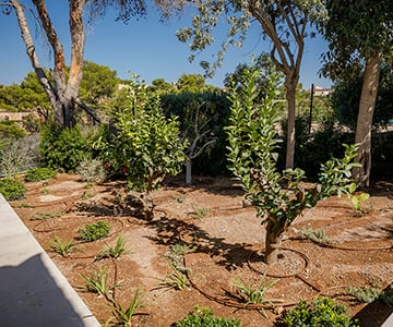 proyecto jardines Cala Santanyí | empresa de jardinería