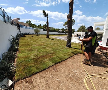 proyecto jardines Santa Ponça | empresa de jardinería