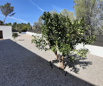 proyecto jardines Santa Ponça | empresa de jardinería