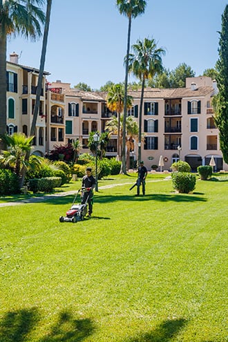 jardinería Palma de Mallorca | jardinería en Mallorca jardinería Palma de Mallorca | empresa de jardinería