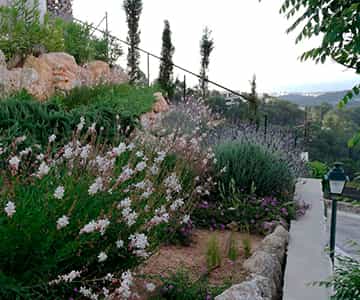 proyecto Son Vida jardines | empresa de jardinería