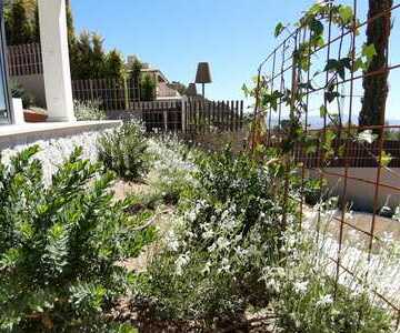 proyecto jardines vivienda | empresa de jardinería