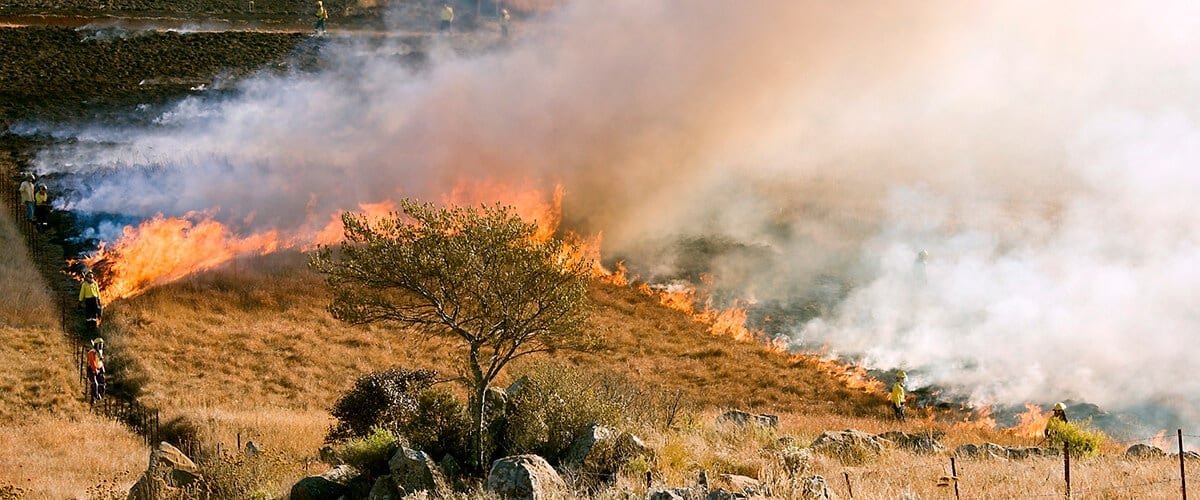 seguridad contra incendios | empresa de jardinería