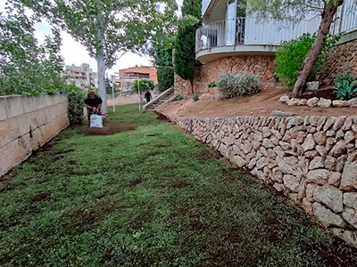 servicios de jardinería mallorca | empresa de jardinería