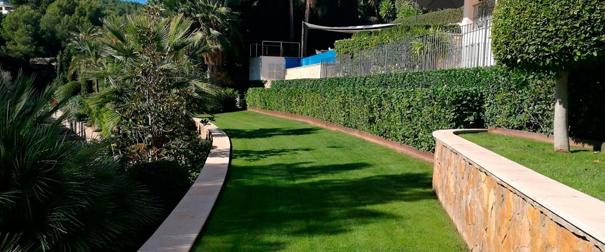 rehabilitación de jardines Mallorca | empresa de jardinería