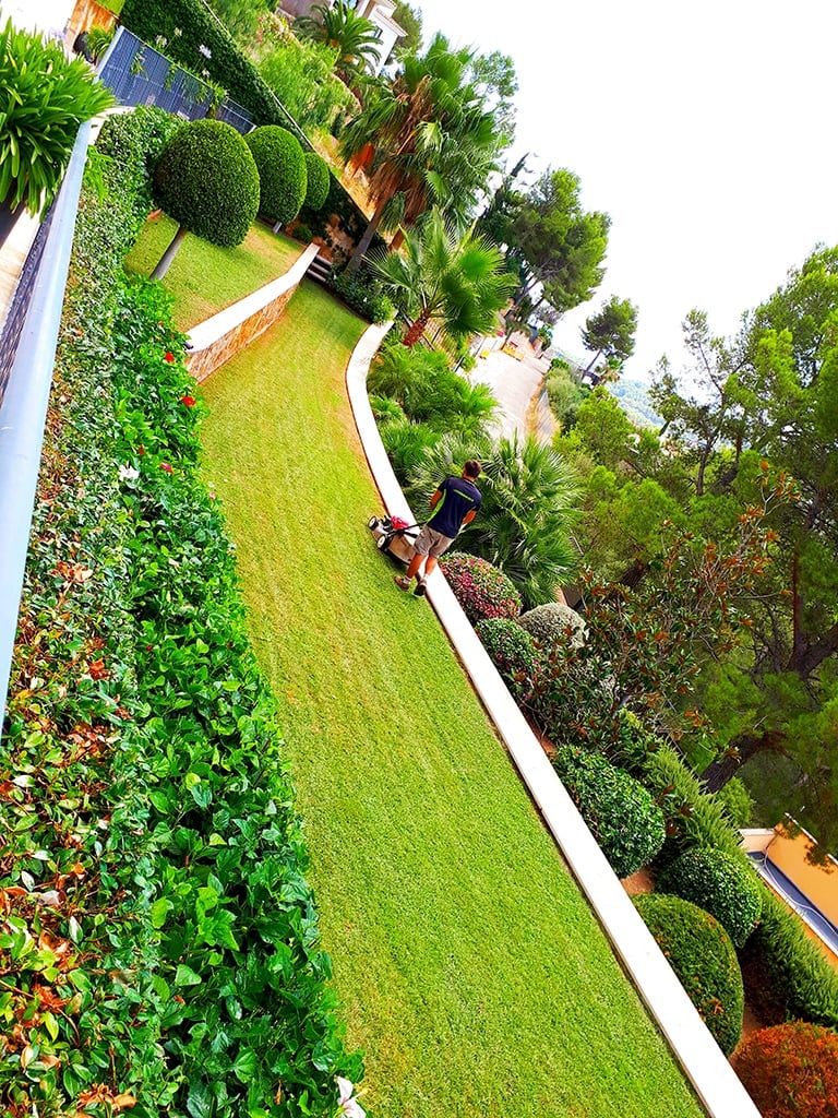 rehabilitación de jardines Mallorca | empresa de jardinería